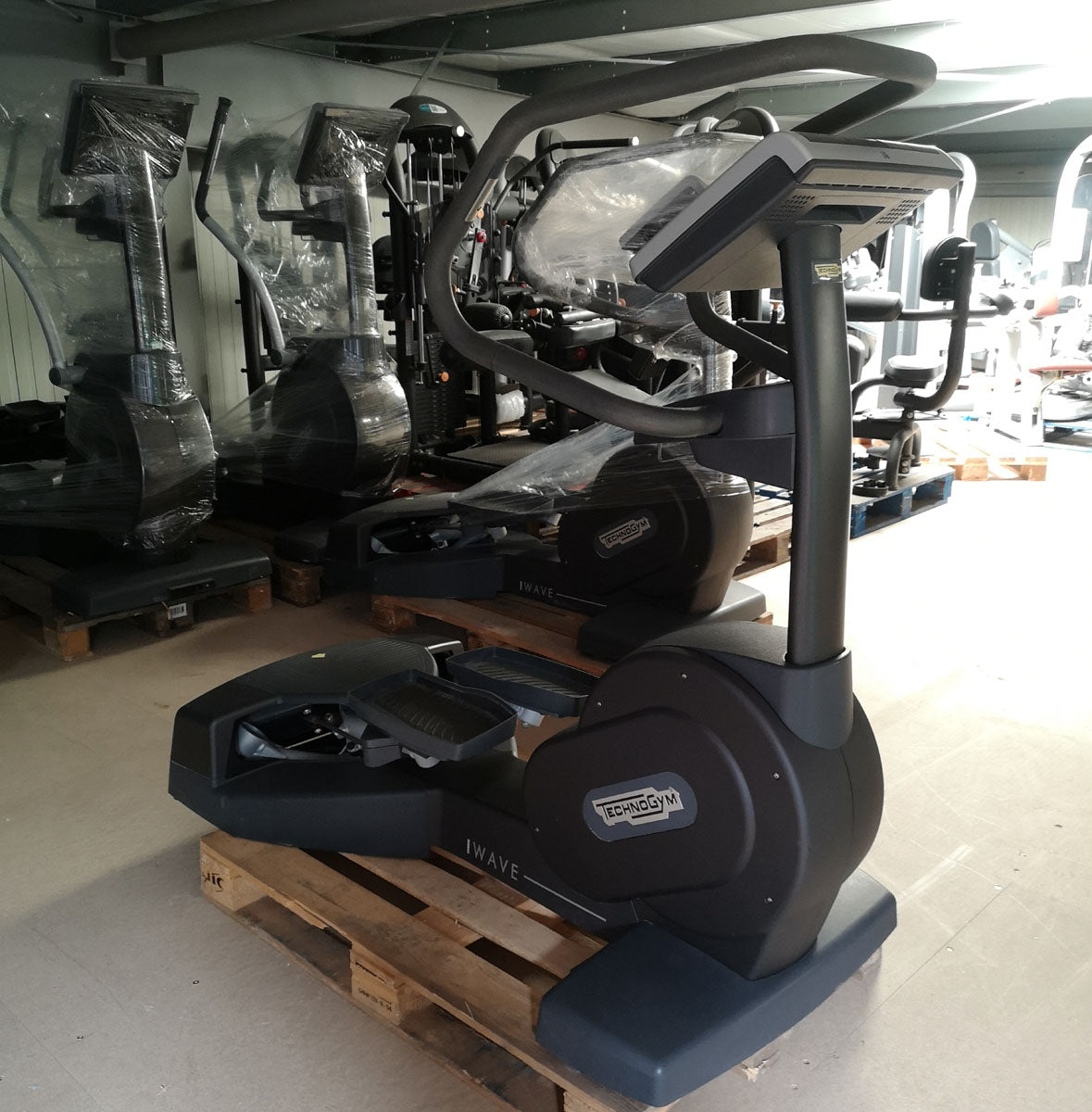 Technogym Wave Excite Line Stepper / Inline Skates / Skis / Elliptical Trainer, Touch Display, used - refurbished condition
