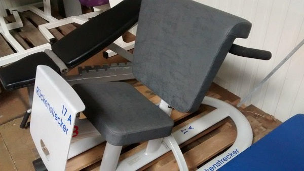 Kaphingst Hyperextension / Back Extension, Knee Position, Adjustable, Used