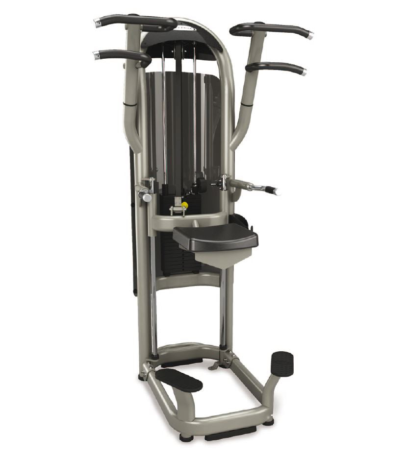 Matrix Aura G3-S60 Dip/Chin, Dip-Klimmzugmaschine mit Gewichtsunterstützung, Farbe Silber, gebraucht - überholter Zustand