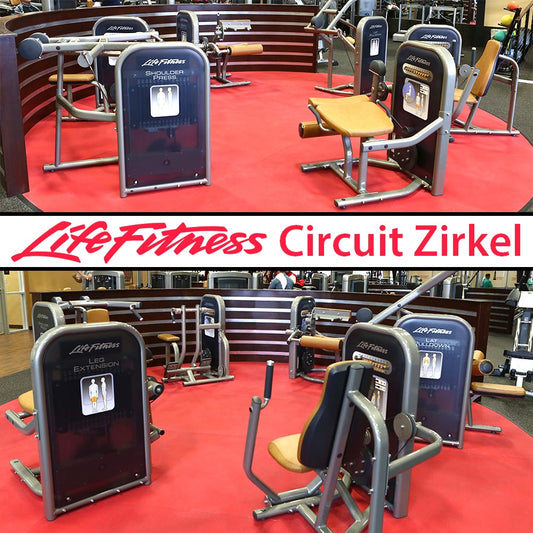 Life Fitness Circuit Serie Gerätezirkel, 10 Kraftgeräte im Set, gebraucht - überholter Zustand
