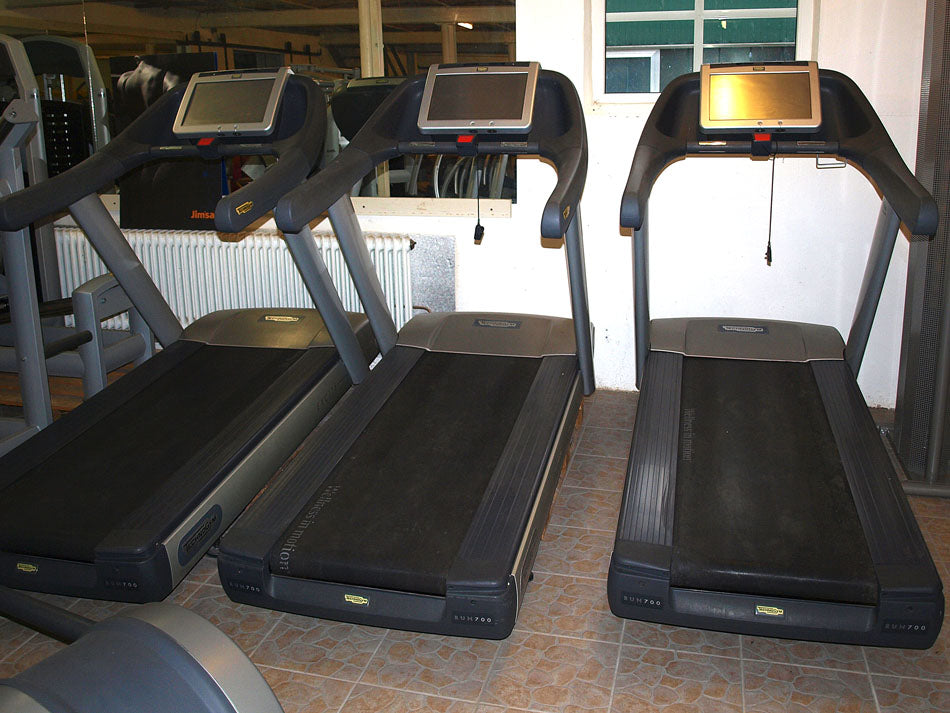 Techno Gym Laufband Excite Line 700 mit TV, gebraucht