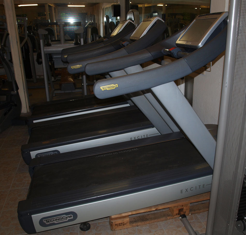 Techno Gym Laufband Excite Line 700 mit TV, gebraucht