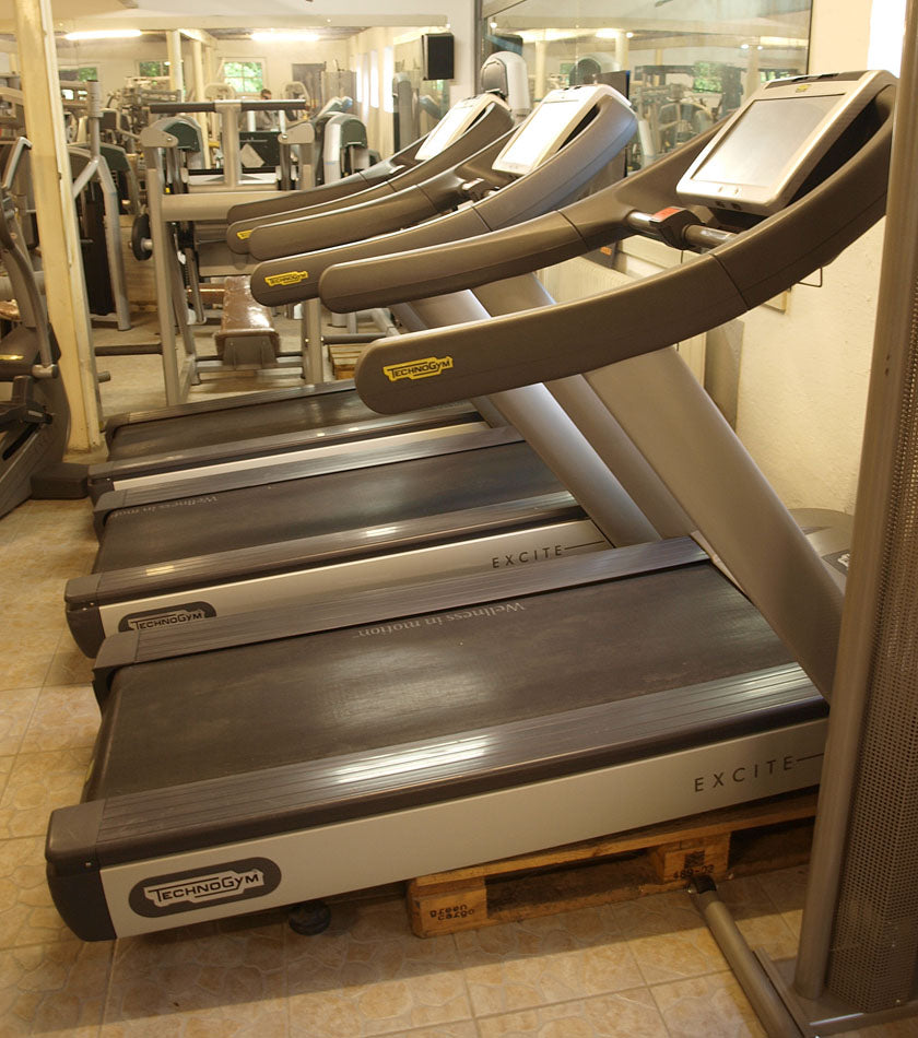 Techno Gym Laufband Excite Line 700 mit TV, gebraucht