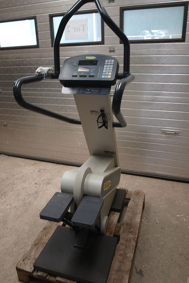 Techno Gym XT Line Stepper - Step XT, gebraucht - geprüfter Zustand, funktionsfähig