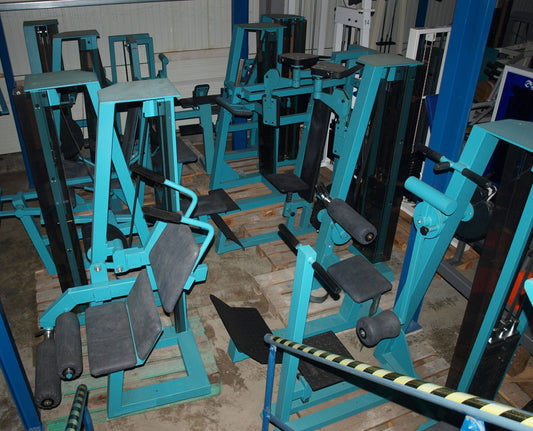 Gym 80, Wadenmaschine Donkey, Edition Line, gebraucht