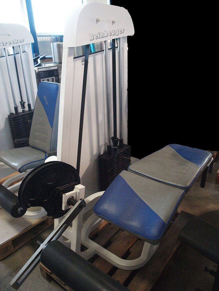 ASS Kraftgerätepark, 17 Fitnessgeräte, Fitnessstudio Ausrüstung, gebraucht