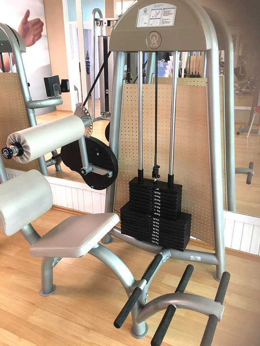 Proxomed / AS, Rückenstrecker, Hyperextensionmaschine, gebraucht - überholter Zustand