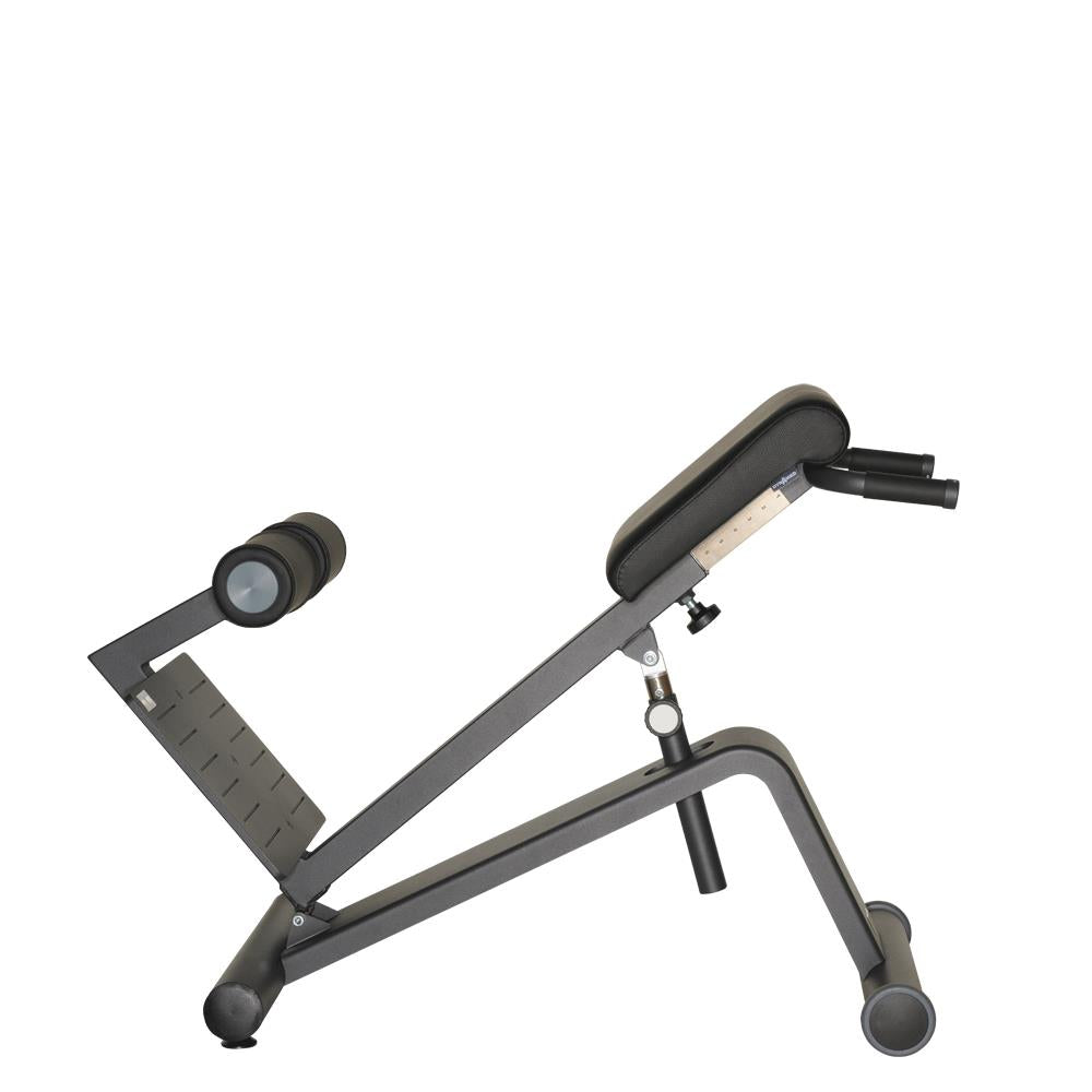 Dynamed Lateral- /Lumbal-Trainer, Stolzenberg - NEU