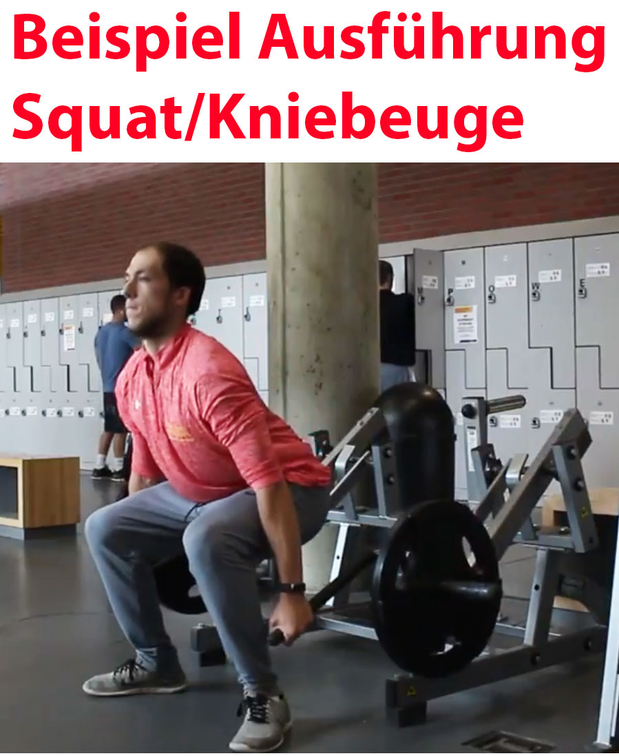 Squat High Pull - Plate loaded Kraftgerät, Hammer Strength Nachbau, gebraucht - geprüfter Zustand