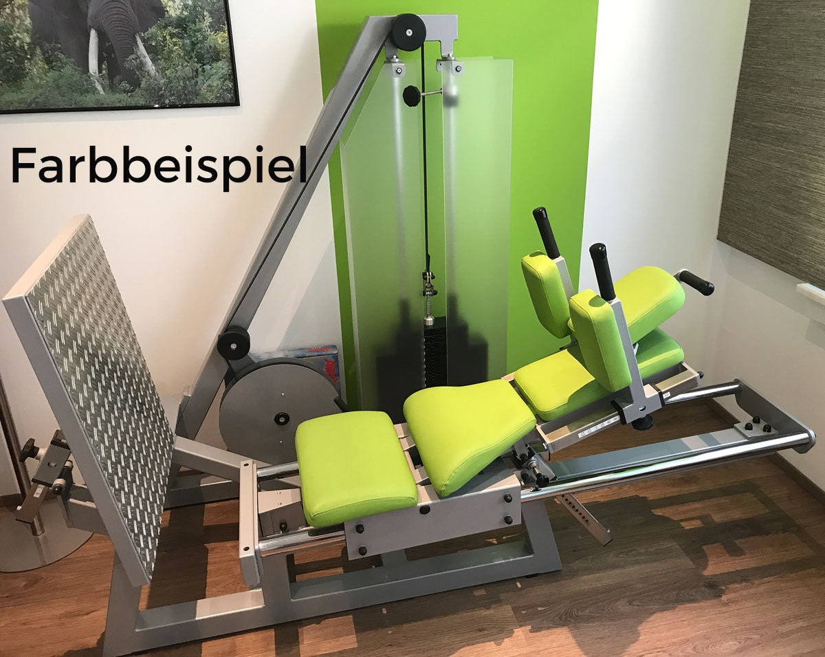 SVG functional press, Reha Line, adjustable leg press, MPG, used - refurbished condition