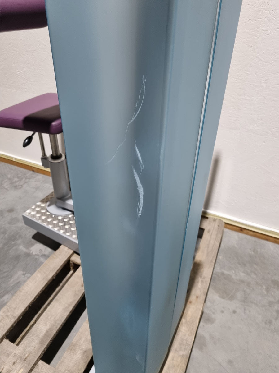 SVG HWS-Trainer, Hals und Nacken Trainingsmaschine, Halswirbelbsäule Kräftigung, Reha Line, Rahmenfarbe Silber, Polsterfarbe Lila, gebrauchter - überholter Zustand