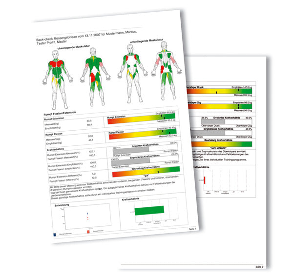 Dr. Wolff Back Check 607, NEUES MODELL, Touchscreen, Silber, guter gebrauchter Zustand