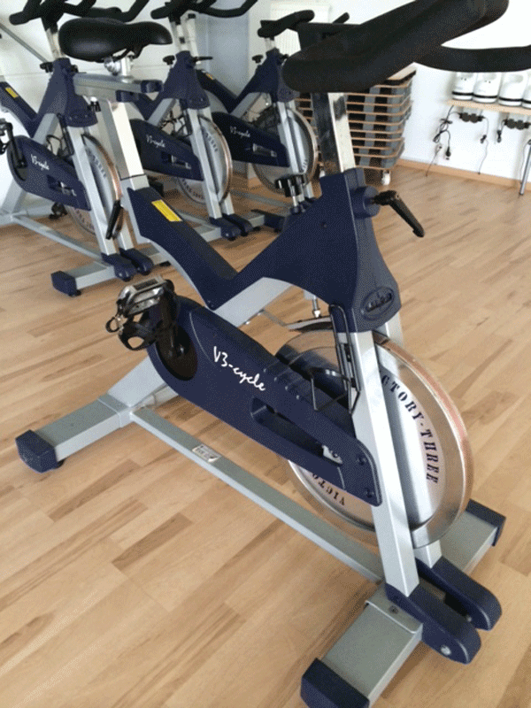 V3 Indoor Cycles, 10 Stück, gebraucht