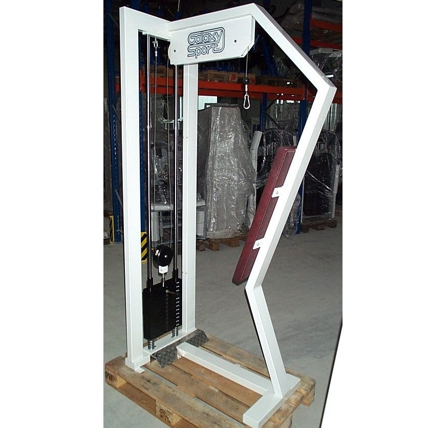 Galaxy Trizepsmaschine, stehend, gebraucht