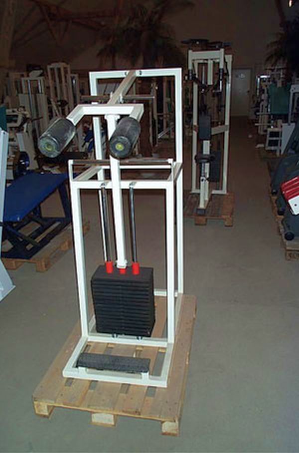 Wadenmaschine, stehend, weiß mit 240kg Steckgewichten, gebraucht