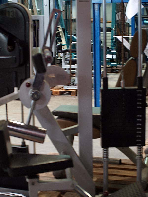 Galaxy abdominal machine, flexor, silver, used