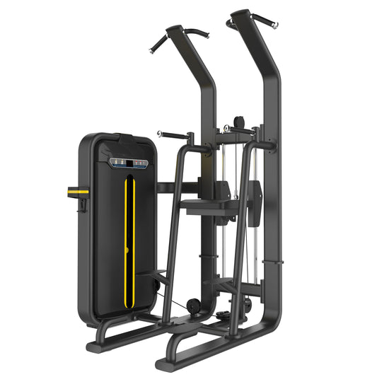 DankSport Dip-Klimmzugmaschine mit Gewichtsunterstützung, Dip-Chin Assisted, Farbe Schwarz - NEU