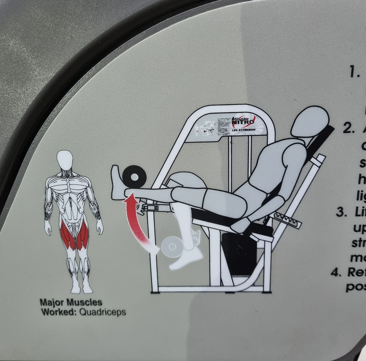 Nautilus Nitro leg extension and leg curl seated, 2 machines in a set, leg curl and leg extension seated, frame color anthracite, used - refurbished condition