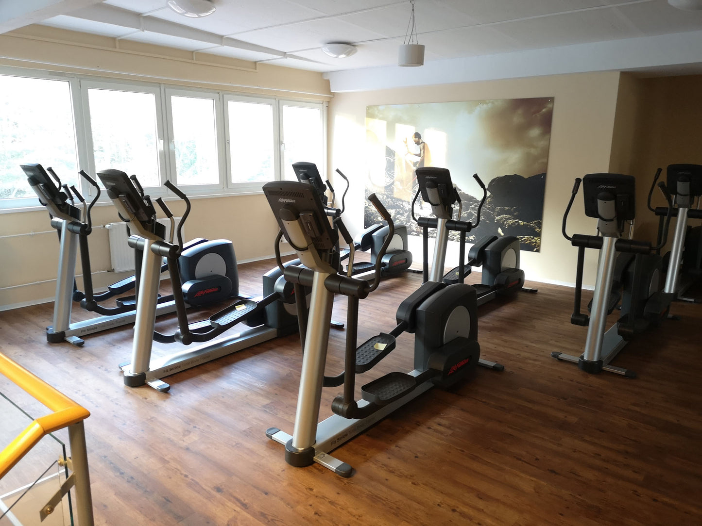 Life Fitness & Hammer Strength - 93 Fitnessgeräte - Kraftgeräte, Cardiogeräte, Plate loaded Geräte, Bänke etc - komplettes Fitnessstudio - gebraucht - TOP Zustand