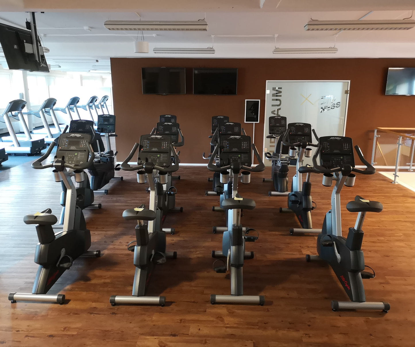 Life Fitness & Hammer Strength - 93 Fitnessgeräte - Kraftgeräte, Cardiogeräte, Plate loaded Geräte, Bänke etc - komplettes Fitnessstudio - gebraucht - TOP Zustand