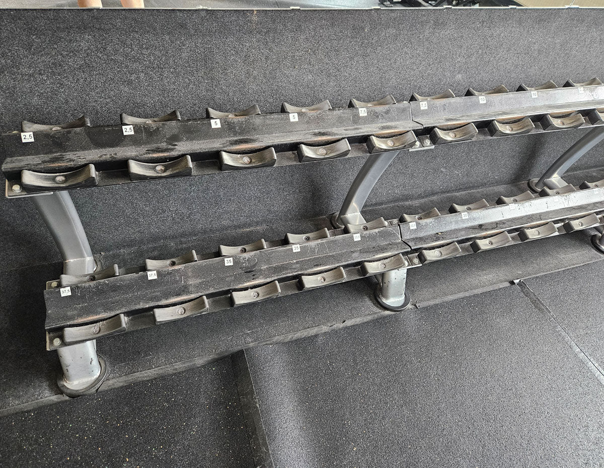 ElbeSport Kurzhantelsatz aus Guss von 2,5 bis 50kg in 2,5kg Stufen ( 20 Paare ) Oldschool, INKLUSIVE Kurzhantelablagen, gebraucht - mit Gebrauchsspuren