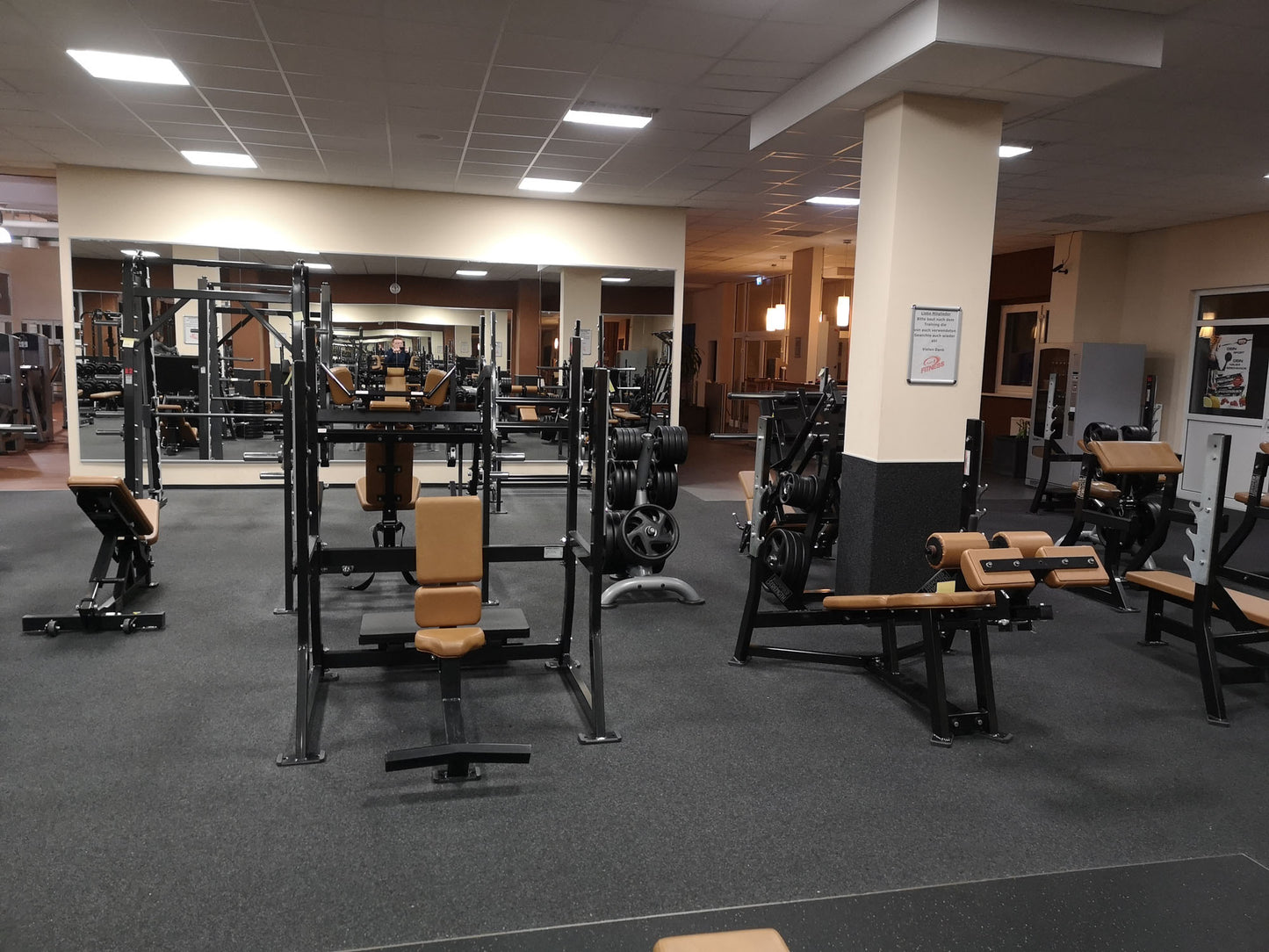 Life Fitness & Hammer Strength - 93 Fitnessgeräte - Kraftgeräte, Cardiogeräte, Plate loaded Geräte, Bänke etc - komplettes Fitnessstudio - gebraucht - TOP Zustand