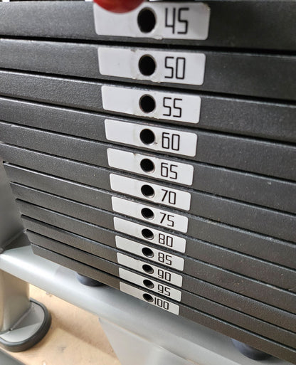 Panatta 5 Stationenturm mit Cable Crossover - Jungle Machine + Cable Station with Connection Bar - 5 Stack Multi Funktionsturm, Rahmenfarbe Silber, gebraucht - geprüfter Zustand