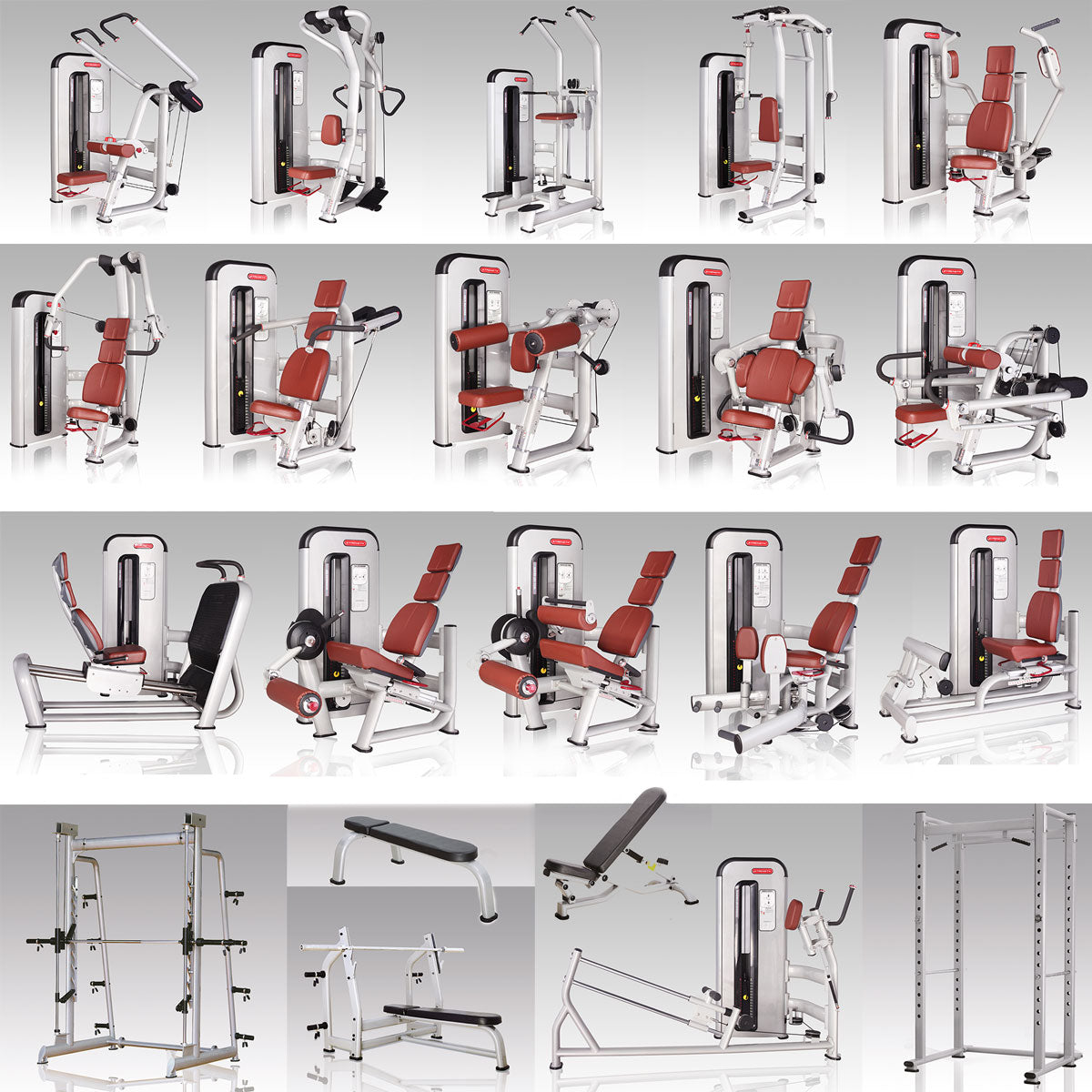Aehnlich Star Trac, TechnoGym oder Gym80 - Danksport S-Line Gerätepark - 30 Kraftgeräte & Zubehör, Neue Geräte, Farbe Silber, Polster Braun