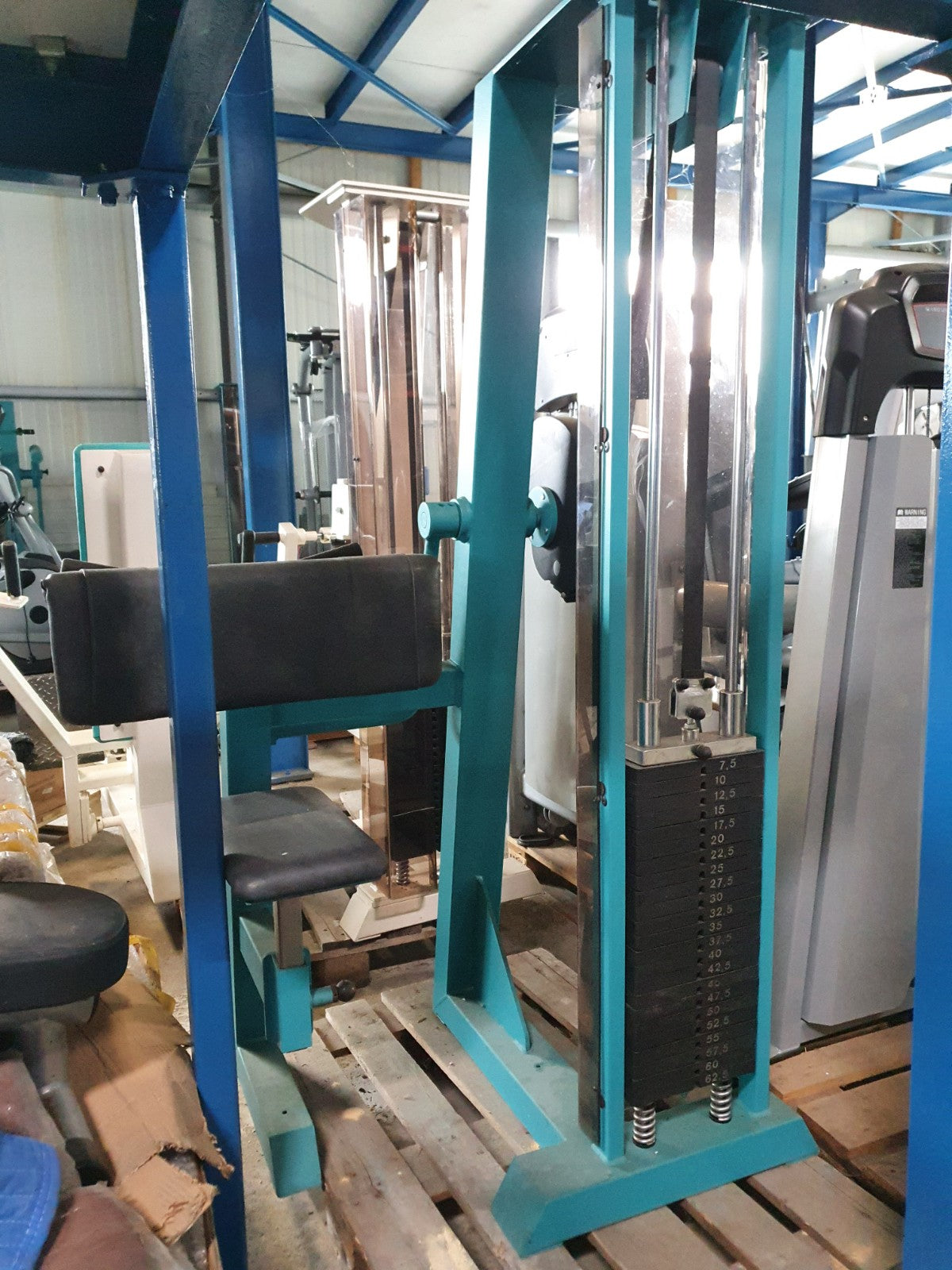 Gym80 Biceps Machine, Biceps Curl, Edition Line, Frame Color Turquoise, Used