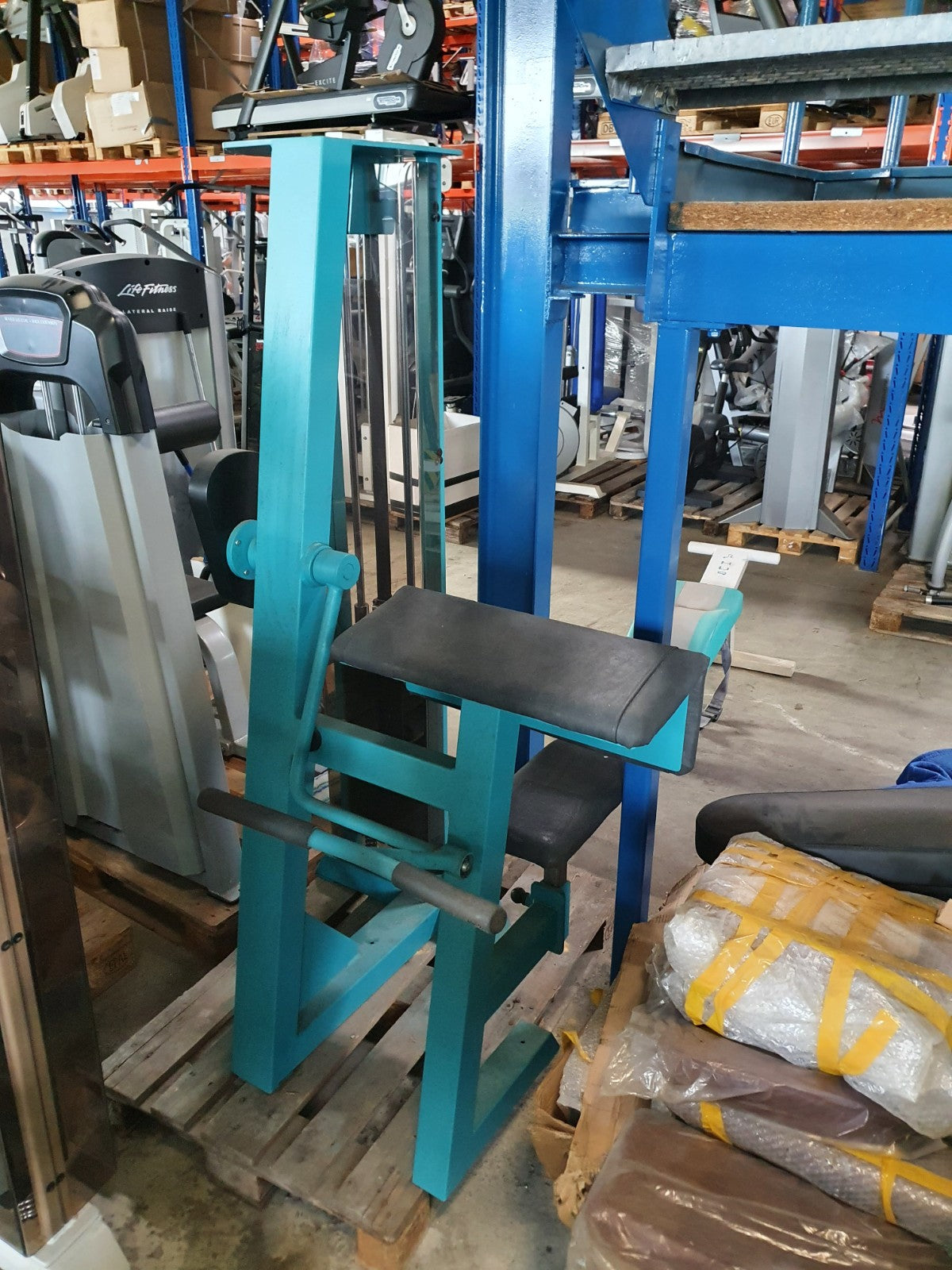 Gym80 Biceps Machine, Biceps Curl, Edition Line, Frame Color Turquoise, Used