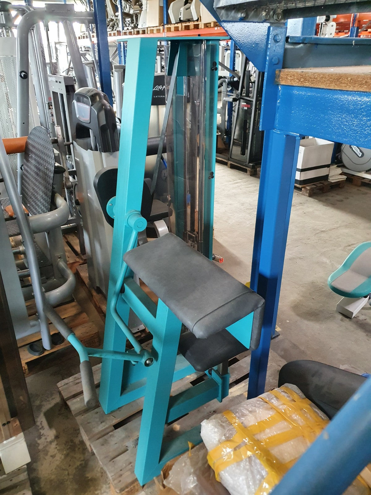 Gym80 Biceps Machine, Biceps Curl, Edition Line, Frame Color Turquoise, Used