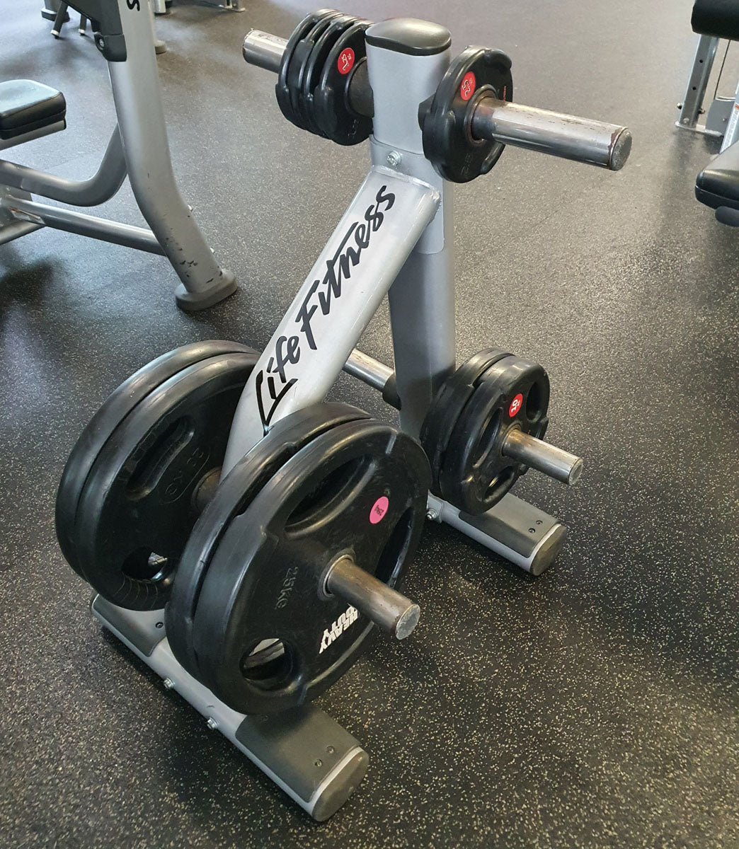 Life Fitness Scheibenständer, 6 Zapfen, Silber, Signature Serie, gebraucht