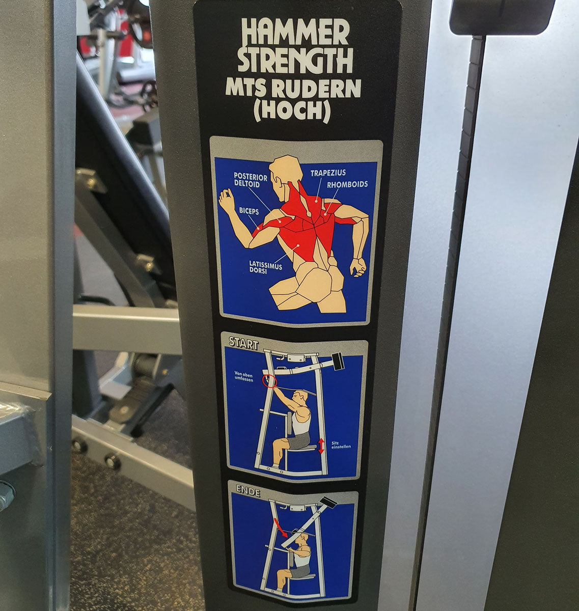 Hammer Strength MTS Rudern ( Hoch ) Maschine - Rahmenfarbe Silber, Polsterfarbe Schwarz, gebraucht - überholter Zustand