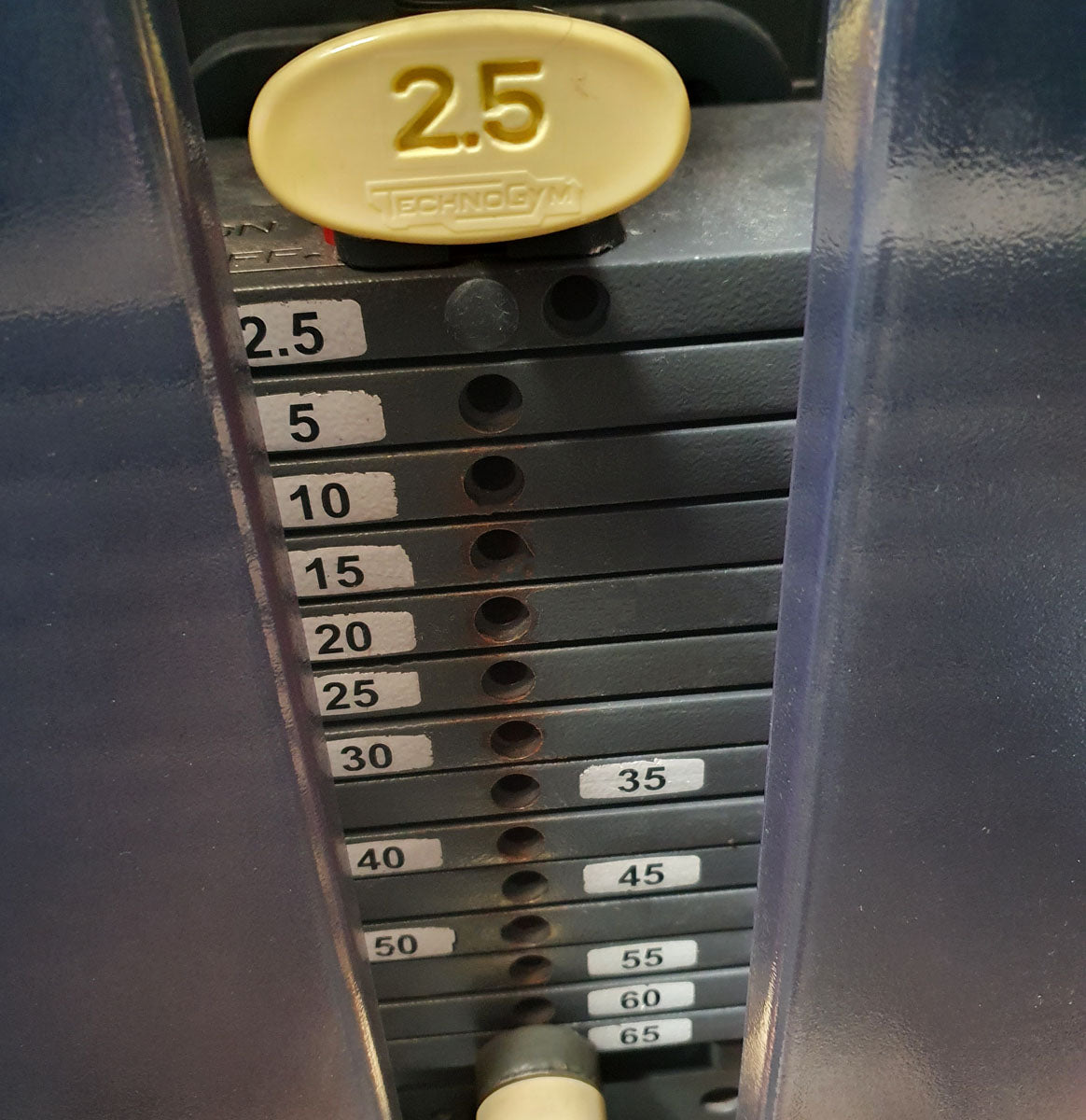 TechnoGym Back Extension, back extension machine, hyperextension, Selection Line - New model with plastic cover, brown upholstery, used - refurbished condition