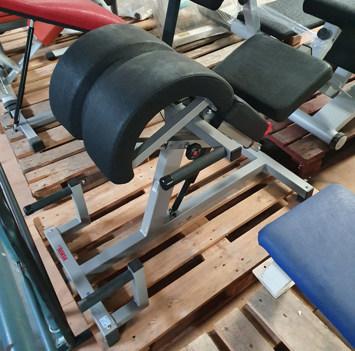 Norsk/ Sanimed Rückenstreckerbank, 45 Grad, Hyperextension, verstellbar, Rahmenfarbe Grau/Silber, Polsterfarbe Schwarz, gebraucht - überholter Zustand