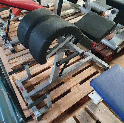 Norsk/ Sanimed Rückenstreckerbank, 45 Grad, Hyperextension, verstellbar, Rahmenfarbe Grau/Silber, Polsterfarbe Schwarz, gebraucht - überholter Zustand