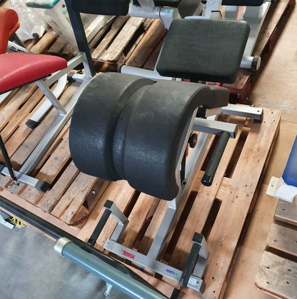 Norsk/ Sanimed Rückenstreckerbank, 45 Grad, Hyperextension, verstellbar, Rahmenfarbe Grau/Silber, Polsterfarbe Schwarz, gebraucht - überholter Zustand