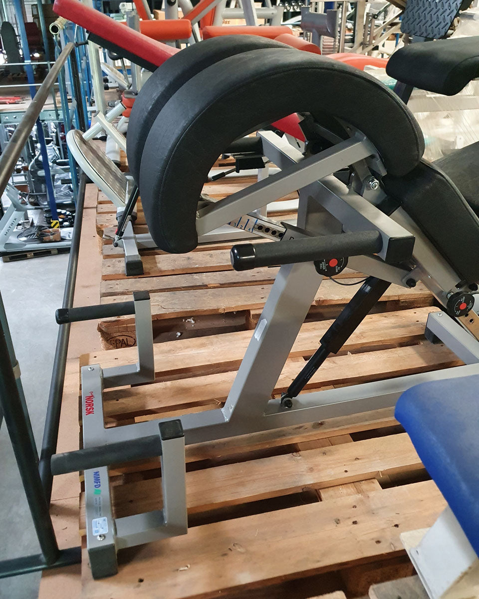 Norsk/ Sanimed Rückenstreckerbank, 45 Grad, Hyperextension, verstellbar, Rahmenfarbe Grau/Silber, Polsterfarbe Schwarz, gebraucht - überholter Zustand