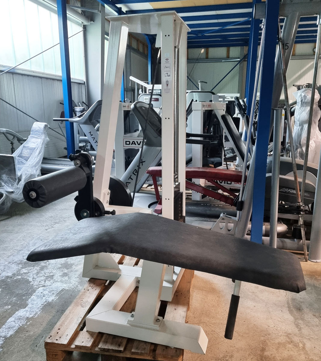 Gym80 Beinbeuger liegend, Edition Line, Rahmenfarbe Weiß, Polsterfarbe Schwarz, gebraucht - überholter Zustand