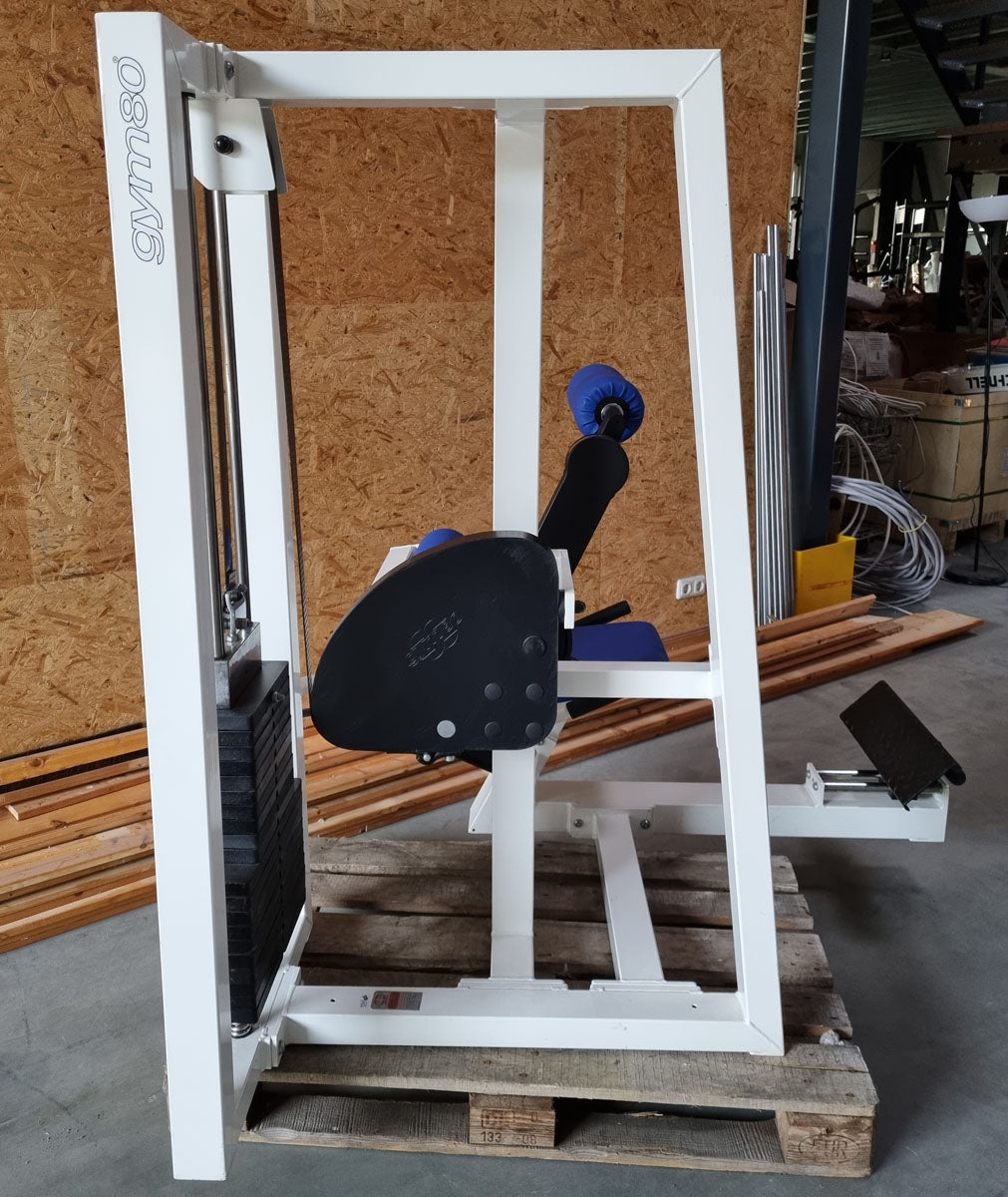 Gym80 Rückenstreckermaschine, Hyperextension, verstellbar, Rahmenfarbe Weiß, Polsterfarbe Blau, gebraucht - überholter Zustand