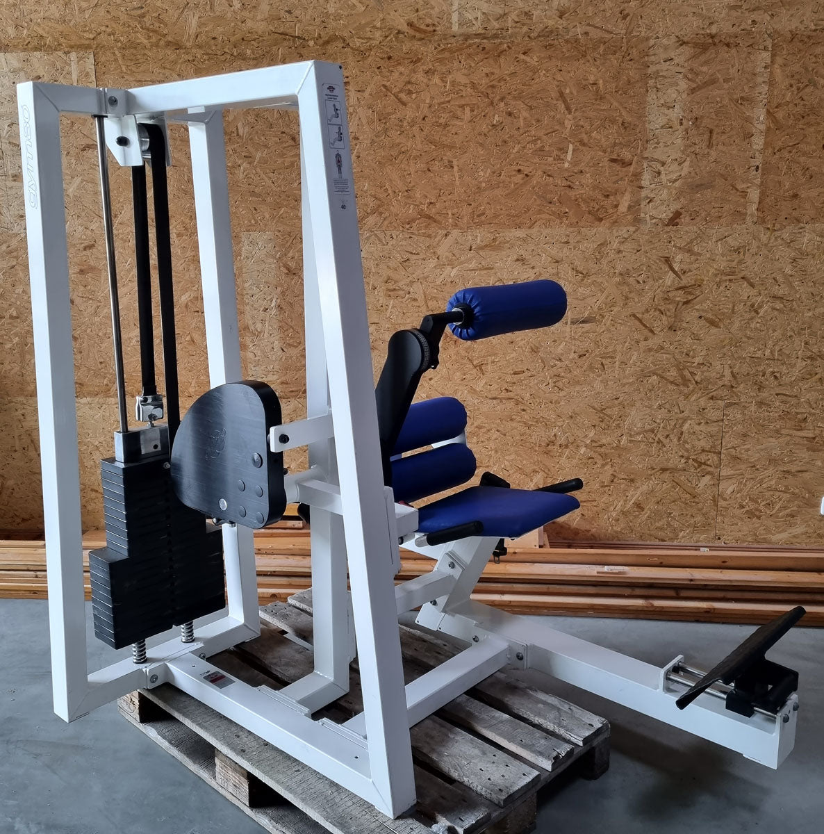 Gym80 Rückenstreckermaschine, Hyperextension, verstellbar, Rahmenfarbe Weiß, Polsterfarbe Blau, gebraucht - überholter Zustand