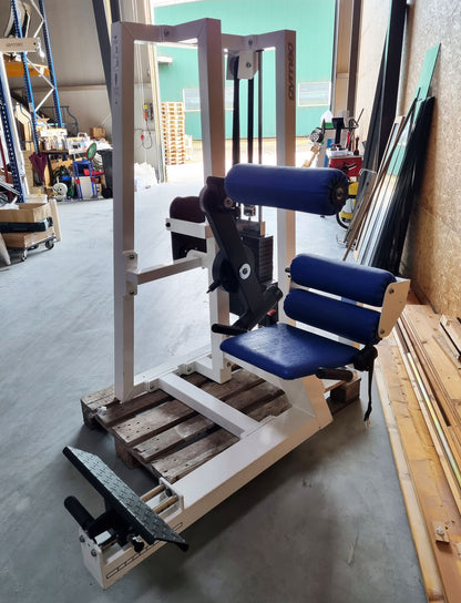 Gym80 Rückenstreckermaschine, Hyperextension, verstellbar, Rahmenfarbe Weiß, Polsterfarbe Blau, gebraucht - überholter Zustand