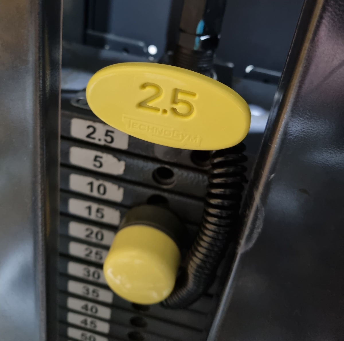 TechnoGym Upper Back, Rowing Row, Lat Isolator, Selection Line - New model with plastic cover, brown upholstery, used - refurbished condition