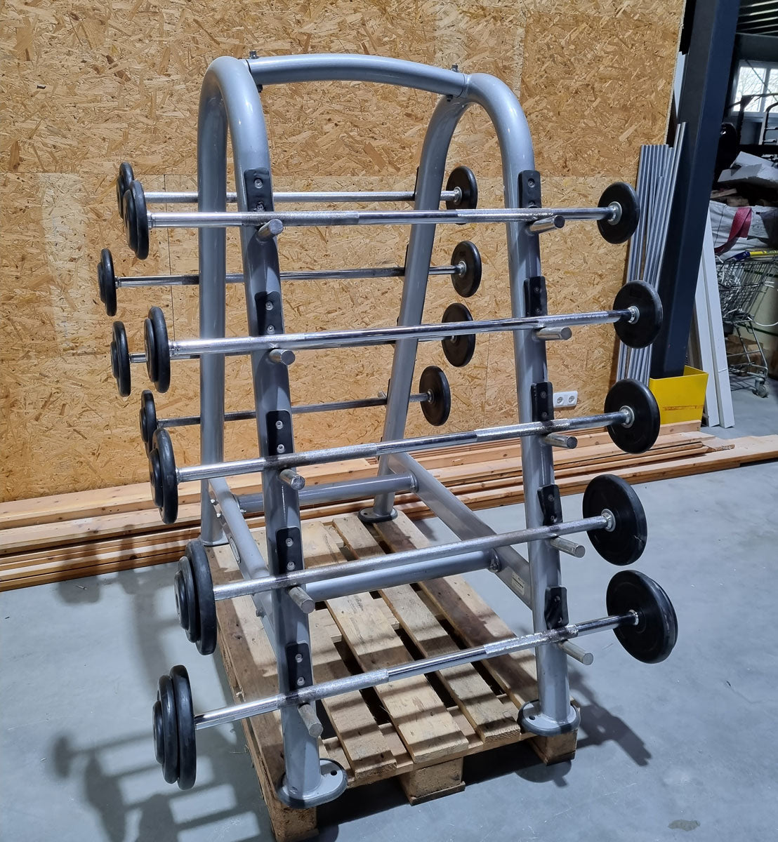 Matrix barbell rack for 10 barbells including 9 compact dumbbells, similar to SZ dumbbells, used condition
