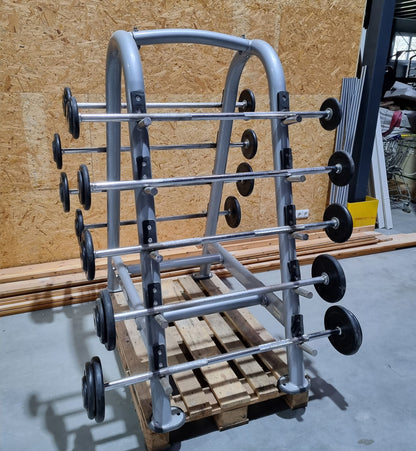 Matrix barbell rack for 10 barbells including 9 compact dumbbells, similar to SZ dumbbells, used condition