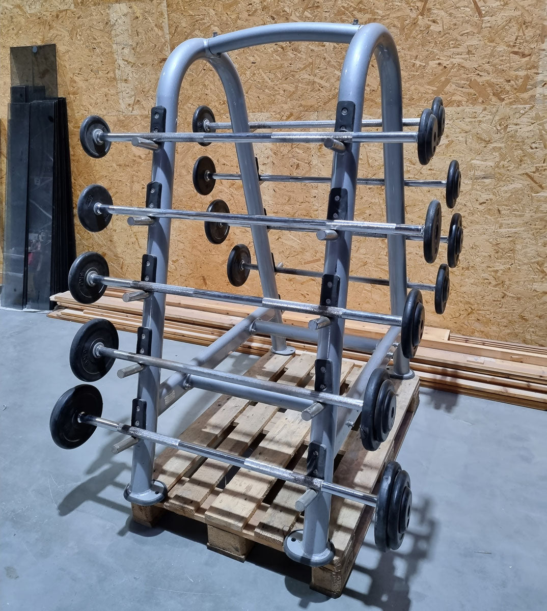 Matrix barbell rack for 10 barbells including 9 compact dumbbells, similar to SZ dumbbells, used condition