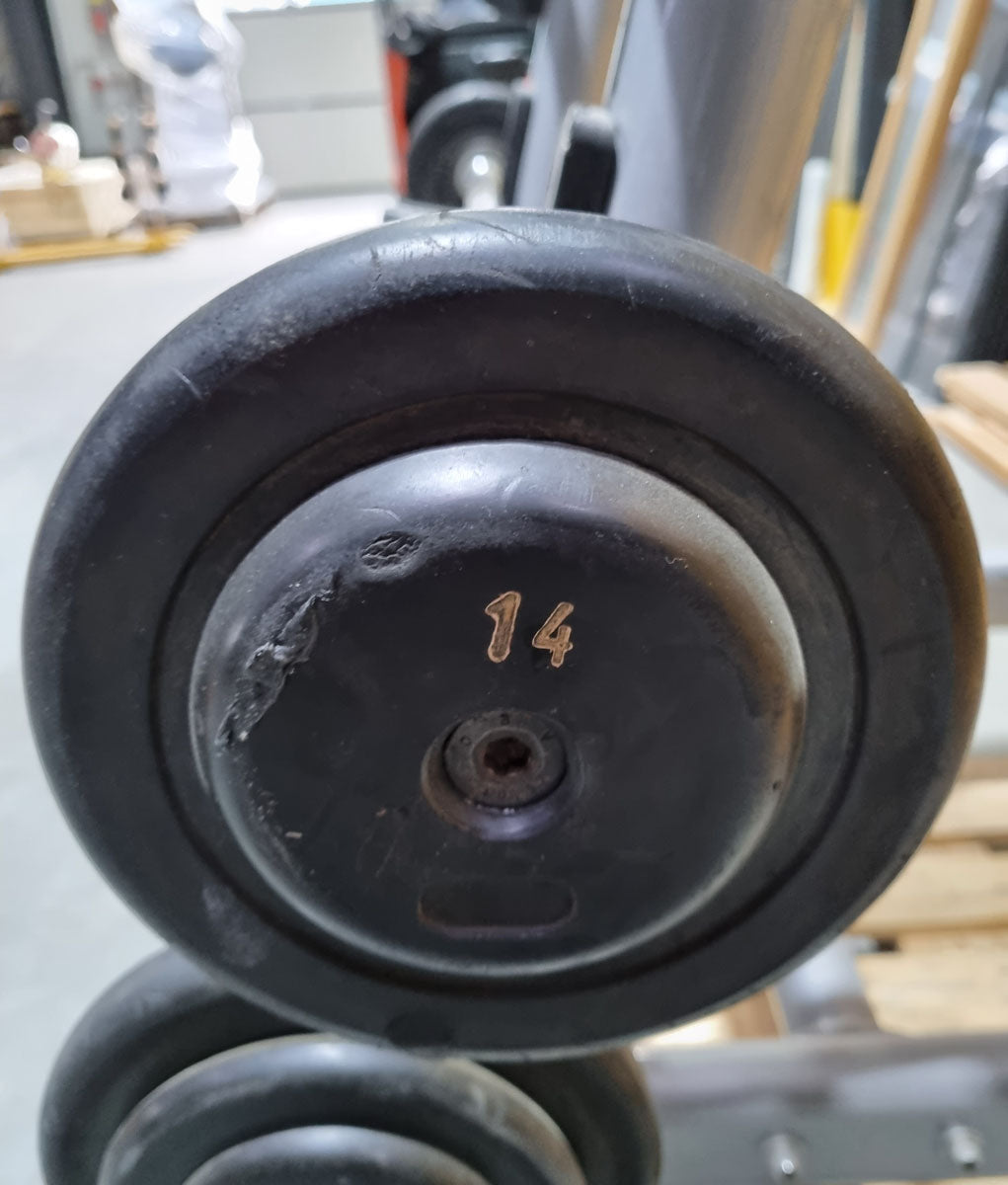 Matrix barbell rack for 10 barbells including 9 compact dumbbells, similar to SZ dumbbells, used condition