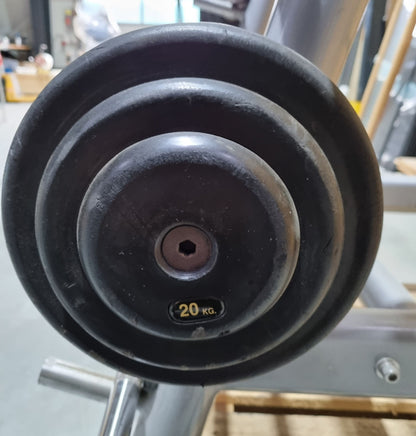 Matrix barbell rack for 10 barbells including 9 compact dumbbells, similar to SZ dumbbells, used condition