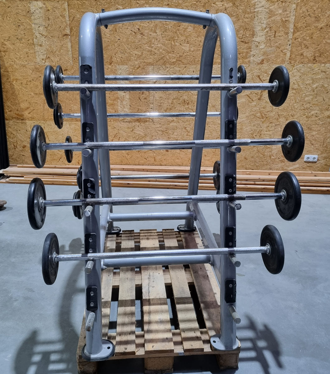Matrix barbell rack for 10 barbells including 9 compact dumbbells, similar to SZ dumbbells, used condition