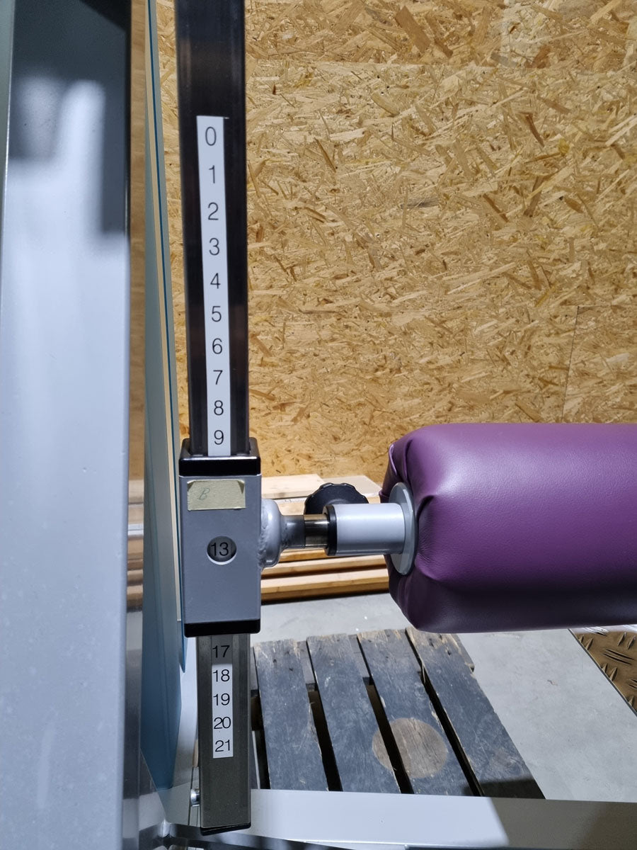SVG Multi Hip, kick machine, hip pendulum, MPG, frame color silver, upholstery color purple, MPG, used - refurbished condition